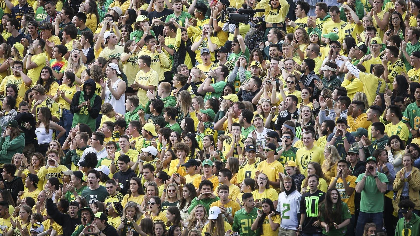 Experience Elite Sporting Events with Ducks Fan Travel